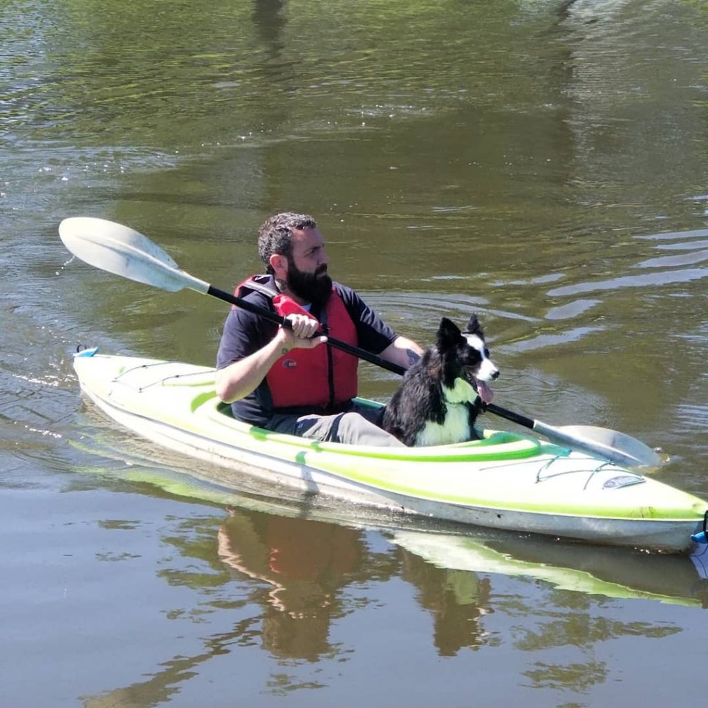 Get Rid of Geese in Georgia